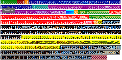 bitcoin raw transaction format